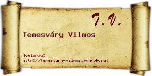 Temesváry Vilmos névjegykártya